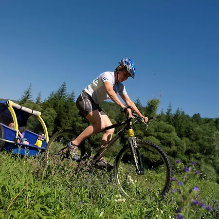 Aparthotel Wellness Di Bosco Tesero
